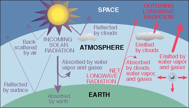 Greenhouse Effect