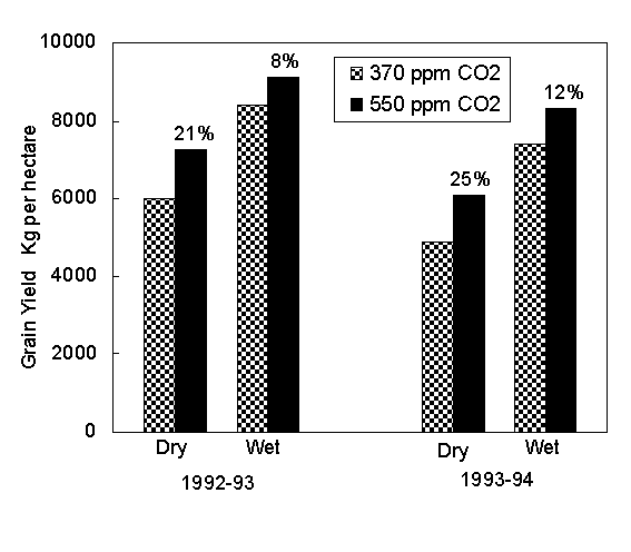 Wheat Yield Response to CO2 Wheat Yield Response to CO2